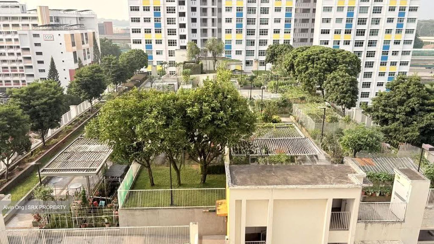 Blk 560A Spring Haven @ Jurong (Jurong West), HDB 2 Rooms #629544801
